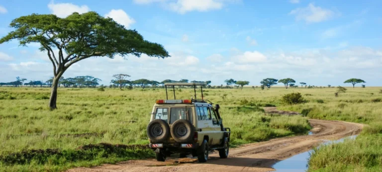Tanzania Safari Travel Insurance Guide