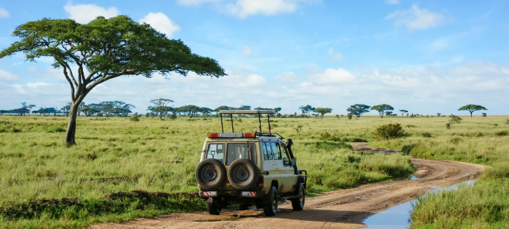 Tanzania Safari Travel Insurance Guide