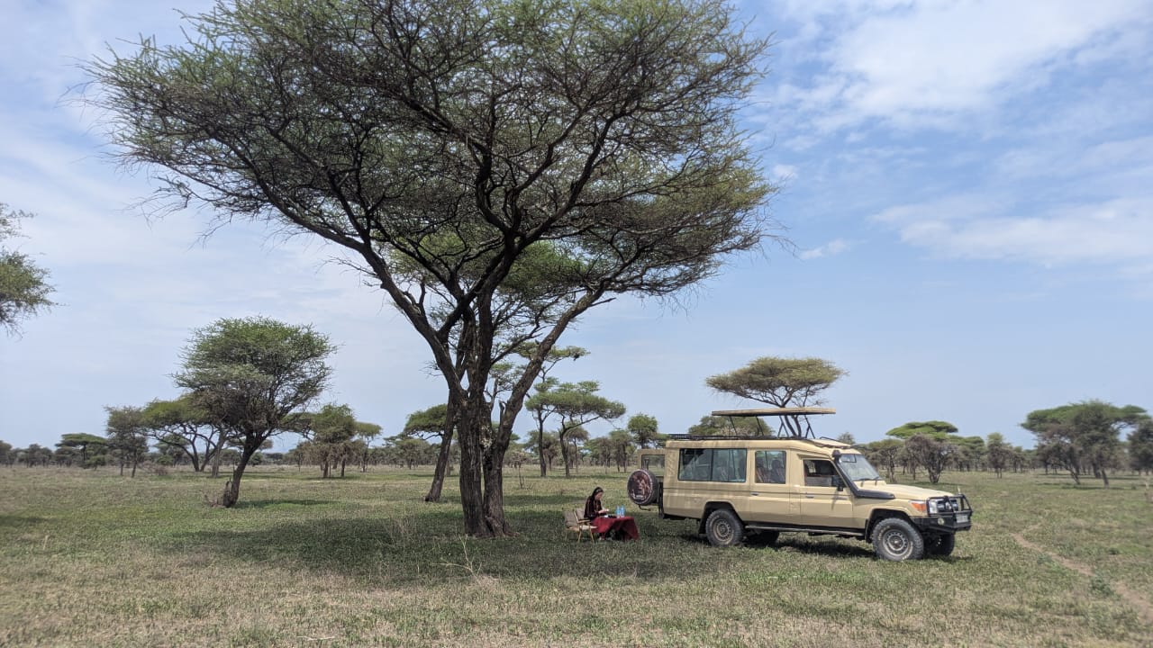 Tanzania Safari Vehicles Explained