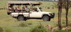 Tanzania Safari for Adventure Travelers