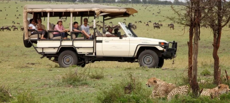 Tanzania Safari for Adventure Travelers
