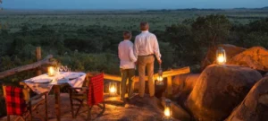 Tanzania Safari for Honeymooners