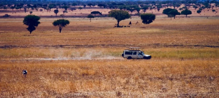 Tanzania Safari from Arusha-Best Routes