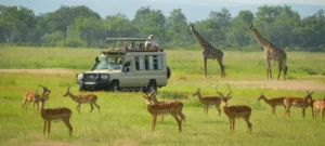Tanzania Safari from Dar es Salaam