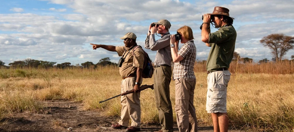 Tanzania Safari with Local Guides
