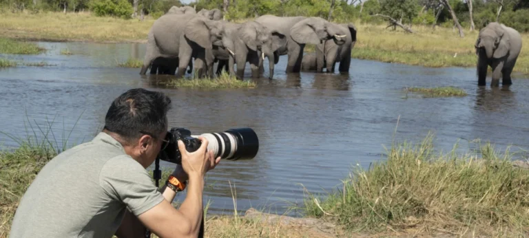 Tanzania Wildlife Safari Photography Tips
