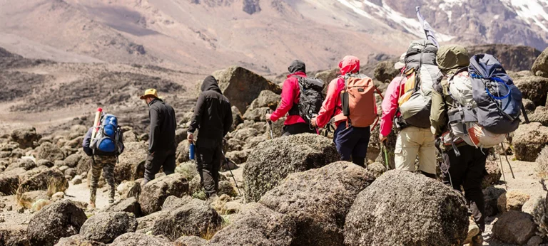 What to Expect Each Day on Kilimanjaro