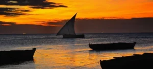 Zanzibar Best Tours & Excursions: Top Experiences You Shouldn’t Miss Zanzibar is famous for its beaches, yet the island truly comes alive through its tours and excursions. Choosing the Zanzibar best tours & excursions allows first-time visitors to experience the island’s culture, history, marine life, and local traditions in a deeper and more memorable way. Rather than staying in one place, guided tours help you explore Zanzibar safely, efficiently, and with expert insight, making your trip far more rewarding. Zanzibar Best Tours & Excursions – Stone Town Walking Tour To begin with, a Stone Town walking tour is one of the most important experiences in Zanzibar. As a UNESCO World Heritage Site, Stone Town reveals the island’s layered history through architecture, markets, and narrow streets. What You’ll Experience Historic landmarks such as the House of Wonders and Old Fort Bustling local markets and spice shops Stories of Swahili, Arab, Indian, and European influence Because guides share local knowledge, this tour provides cultural context that self-exploration often misses. Zanzibar Best Tours & Excursions – Spice Farm Tour Next, the spice farm tour introduces you to why Zanzibar is known as the “Spice Island.” These tours offer a hands-on experience, allowing visitors to see, smell, and taste fresh spices. Highlights of the Spice Tour Cloves, nutmeg, cinnamon, vanilla, and cardamom Traditional farming methods Fresh spice-infused lunch options As a result, visitors gain a better understanding of Zanzibar’s agricultural heritage and global trade history. Zanzibar Best Tours & Excursions – Prison Island Tour Another popular option is the Prison Island (Changuu Island) tour, located just off Stone Town’s coast. This excursion combines history with nature. Why Visit Prison Island? Giant Aldabra tortoises Clear waters for swimming and snorkeling Short boat ride from Stone Town Consequently, this tour works well for travelers with limited time who still want variety. Zanzibar Best Tours & Excursions – Safari Blue Experience For ocean lovers, Safari Blue stands out as one of Zanzibar’s most iconic excursions. This full-day adventure focuses on marine exploration and relaxation. Safari Blue Includes Traditional dhow sailing Snorkeling in turquoise waters Sandbank relaxation Seafood lunch on a remote island Because everything is organized, Safari Blue offers a seamless way to enjoy Zanzibar’s marine environment. Zanzibar Best Tours & Excursions – Jozani Forest Tour Meanwhile, nature enthusiasts should not miss the Jozani Forest tour, home to the rare Red Colobus monkeys. What Makes Jozani Special Endemic wildlife found nowhere else Mangrove boardwalks Educational conservation insights This tour adds ecological value to your itinerary while supporting local conservation efforts. Zanzibar Best Tours & Excursions – Dhow Sunset Cruise As the day winds down, a sunset dhow cruise offers a relaxing and romantic way to end your afternoon. What to Expect Traditional wooden dhow sailing Calm ocean views and golden sunsets Light refreshments onboard Therefore, this excursion suits couples, honeymooners, and travelers seeking a peaceful experience. Zanzibar Best Tours & Excursions – Village & Cultural Tours In addition to popular attractions, village tours provide authentic cultural interaction. Cultural Experiences Include Local cooking demonstrations Traditional fishing and farming activities Storytelling and daily-life immersion These tours allow visitors to connect directly with local communities, creating meaningful memories beyond sightseeing. How to Choose the Best Zanzibar Tours & Excursions Before booking, consider the following: Your travel style (relaxed, adventurous, cultural) Group vs private tours Licensed and experienced operators Tour duration and inclusions By planning carefully, you can balance relaxation with exploration. Final Thoughts: Make the Most of Zanzibar with the Right Tours Overall, selecting the Zanzibar best tours & excursions transforms a beach holiday into a well-rounded travel experience. From cultural heritage and spice farms to marine adventures and wildlife encounters, Zanzibar offers something for every traveler. Plan Your Zanzibar Tours with Local Experts If you want help choosing the best Zanzibar tours and excursions, our team can design a custom itinerary based on your interests, schedule, and budget. Contact us for inquiries and custom travel planning: 📞 Call: +255 689 500 614 💬 WhatsApp: +255 784 673 777 📧 Email: info@kiliholidays.com/ kiliholidaystours@gmail.com/ kiliholidaystours@gmail.com Request a quote using the form below, and our specialists will create a personalized Zanzibar tour plan that matches your travel goals.