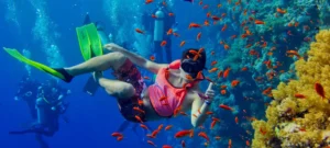 Zanzibar Snorkeling & Diving Guide