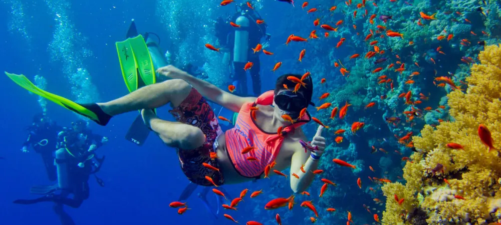 Zanzibar Snorkeling & Diving Guide