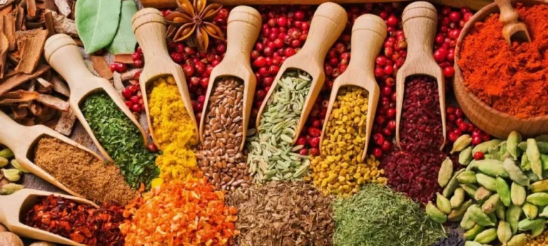 Zanzibar Spice Tour: What to Expect