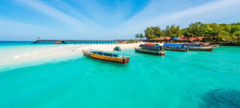 Zanzibar Travel Guide: Everything You Need to Know