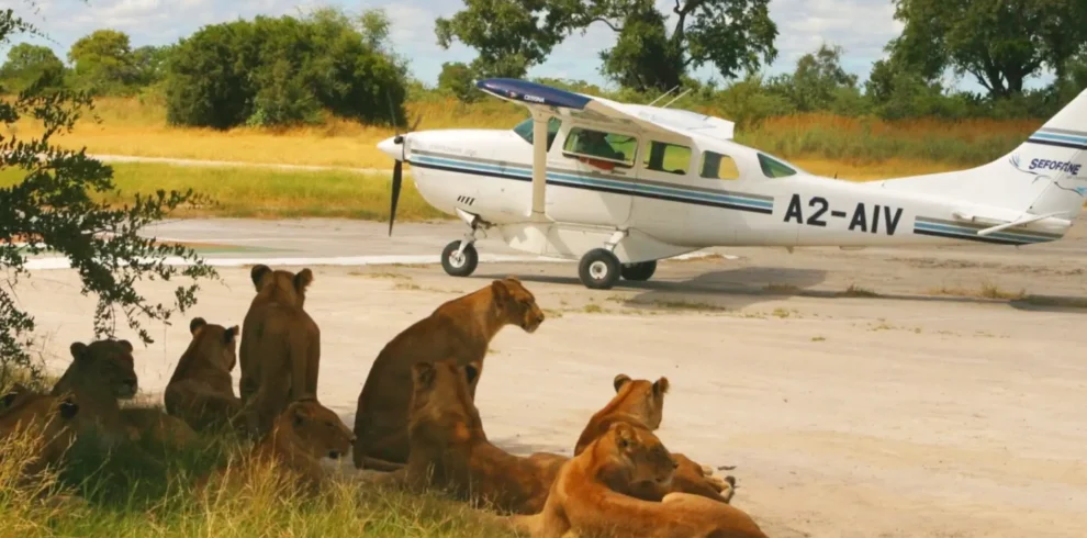 2-Day Luxury Fly-In Safari from Zanzibar – Tarangire & Ngorongoro
