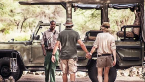 Customizable Private Tanzania Safari for Couples