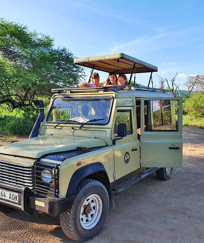 Kiliholiday wildlife safaris