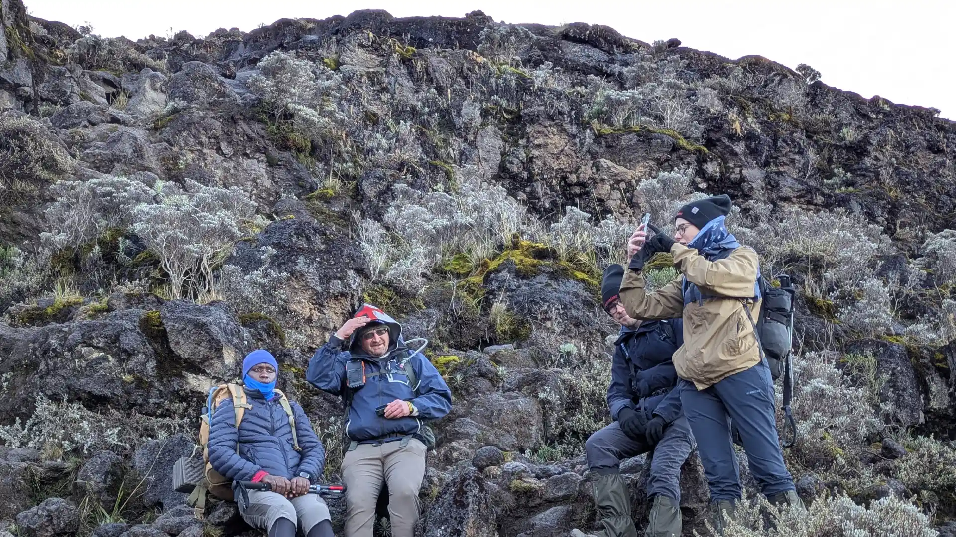 Kilimanjaro Routes Compared-Marangu vs Machame vs Lemosho