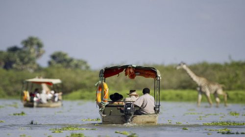 Southern Tanzania Safaris